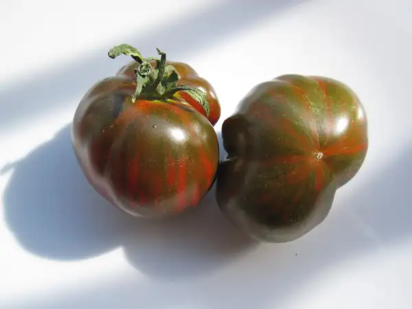 Tomaten: Black & Red Boar