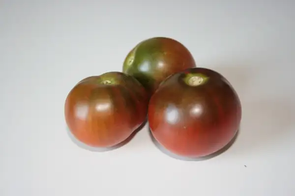 Tomaten: Black Russian