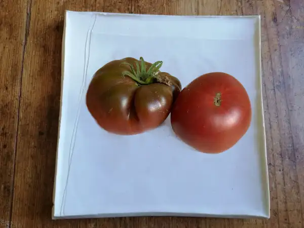 Tomaten: Black Seaman