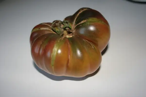 Tomaten: Black Seaman