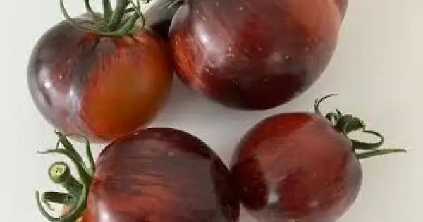 Tomaten: Black Shadow