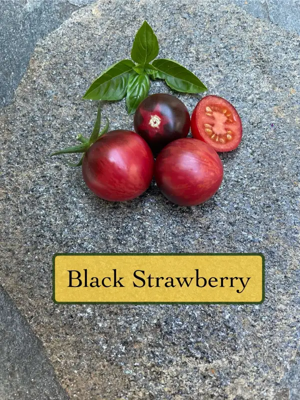 Tomaten: Black Strawberry.