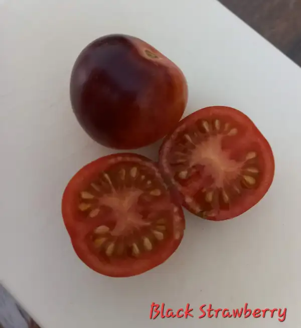 Tomaten: Black strawberry