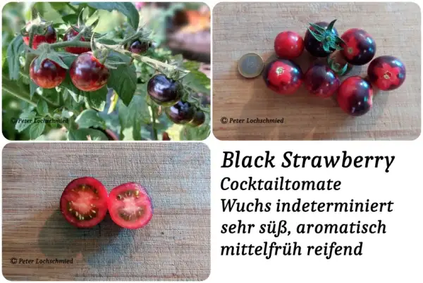 Tomaten: Black strawberry
