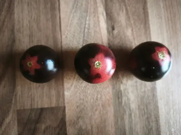 Tomaten: Black strawberry