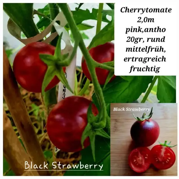 Tomaten: Black strawberry