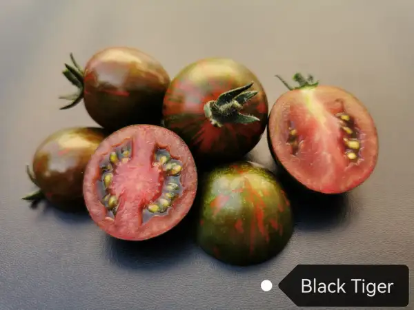 Tomaten: Black Tiger