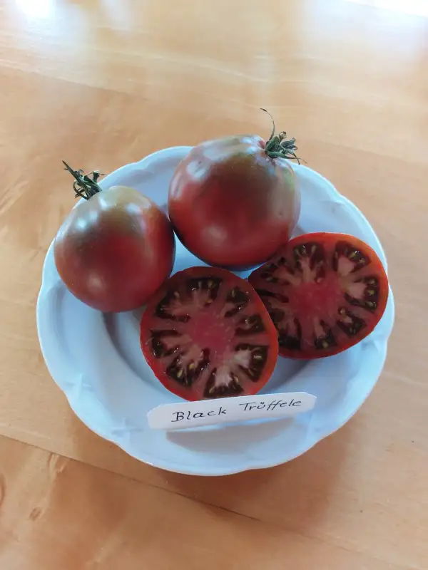 Tomaten: Black Trüffele