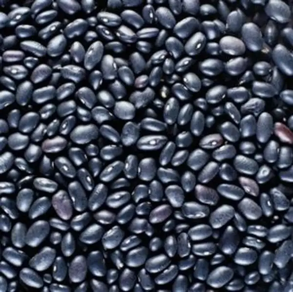 Bohnen: Black Turtle, auch Black Beans, Turtle Soup Beans, Mexican Blacks und Frijoles Negros