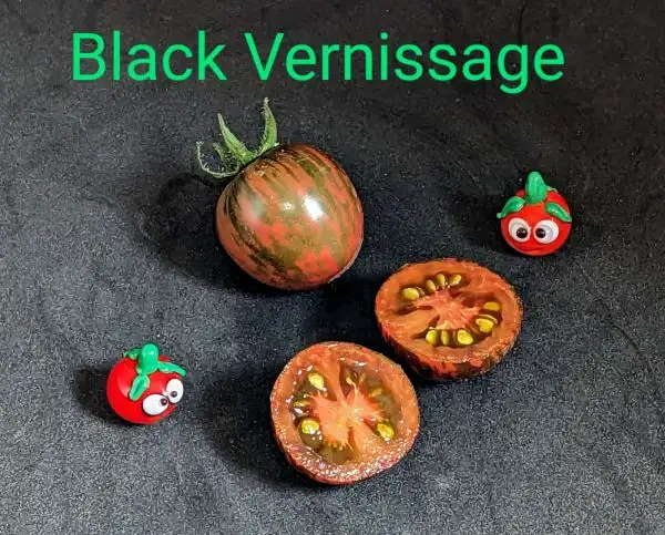 Tomaten: Black Vermissage