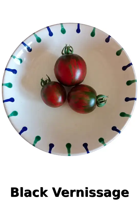 Tomaten: Black Vernissage