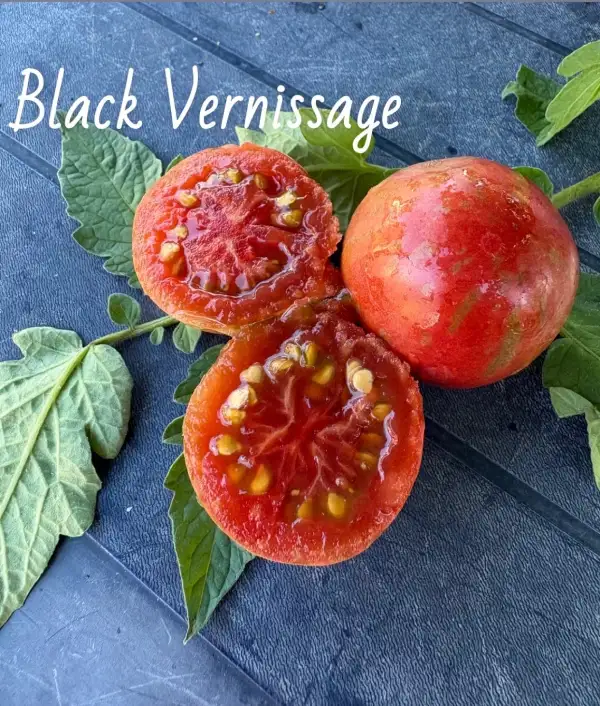 Tomaten: Black Vernissage