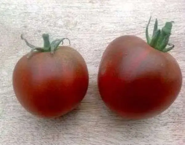 Tomaten: Black Yum Yum