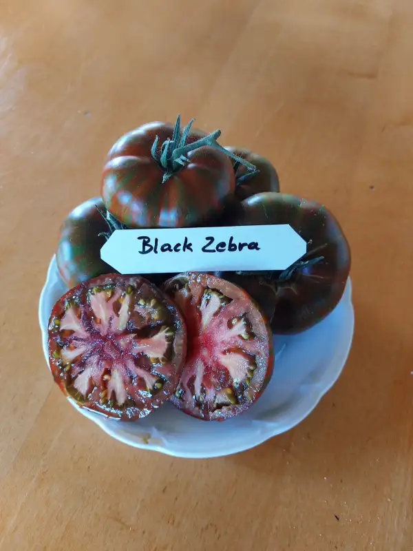 Tomaten: Black Zebra