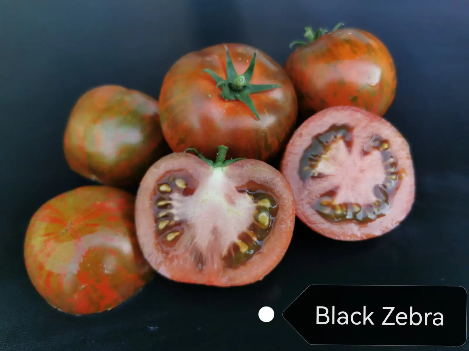 Tomaten: Black Zebra