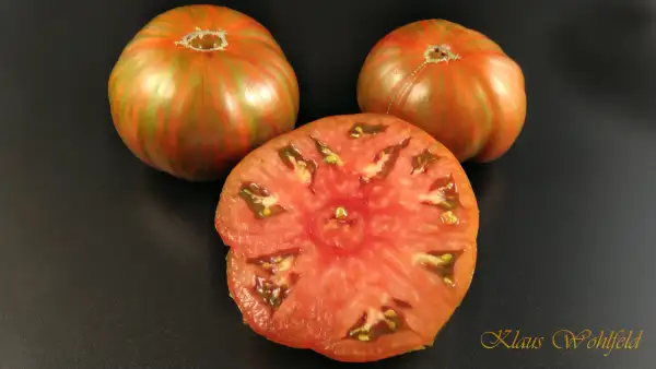 Tomaten: Black Zebra