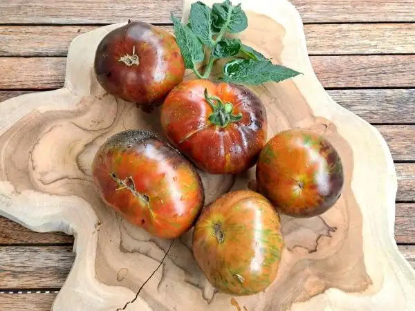 Tomaten: Black Zebra