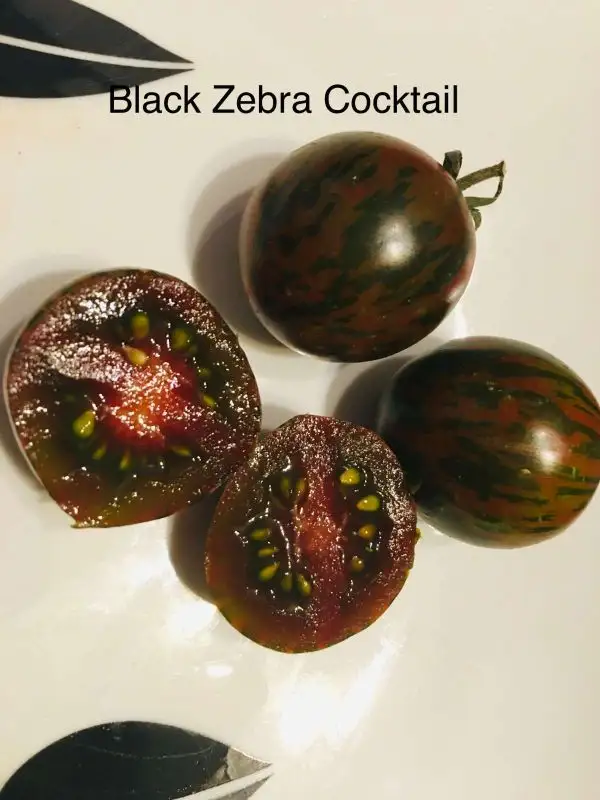 Tomaten: Black Zebra Cocktail