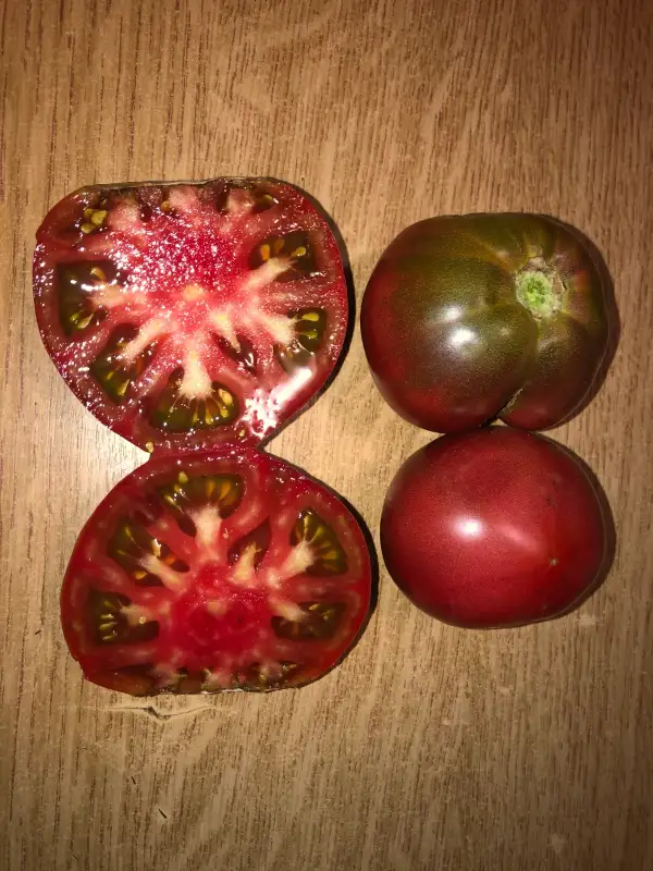 Tomaten: BLACKBERRY