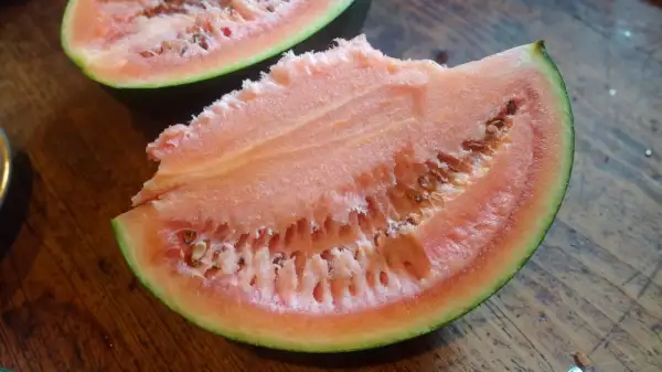 Melonen: Blacktail Mountain