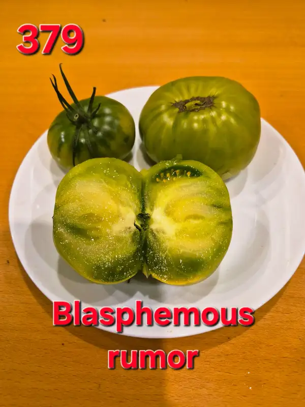 Tomaten: Blasphemous rumor