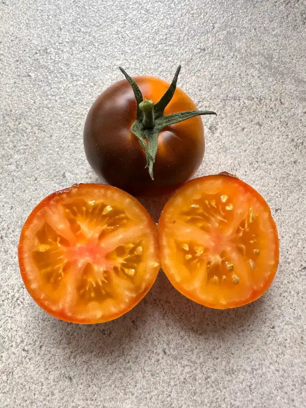 Tomaten: Blaue Ananas