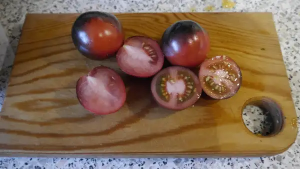 Tomaten: Blaue Zimmertomate