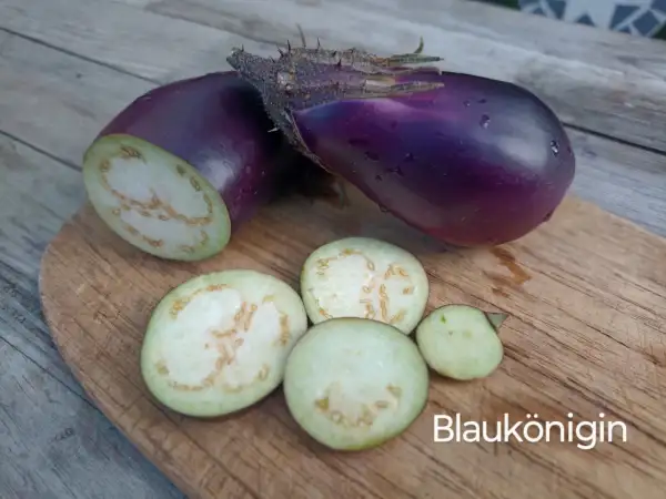 Auberginen: Blaukönigin