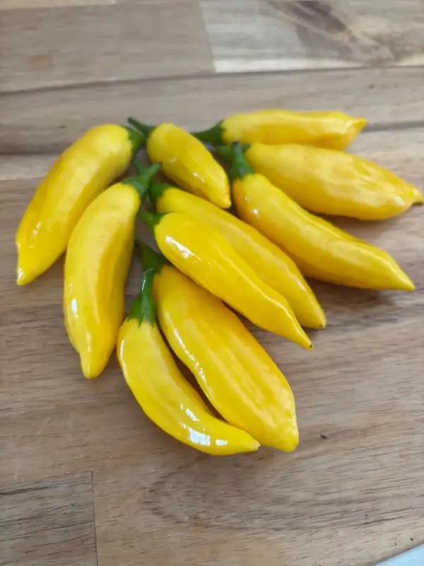 Chili / Paprika: Blended Lemon -Schärfe 4-5