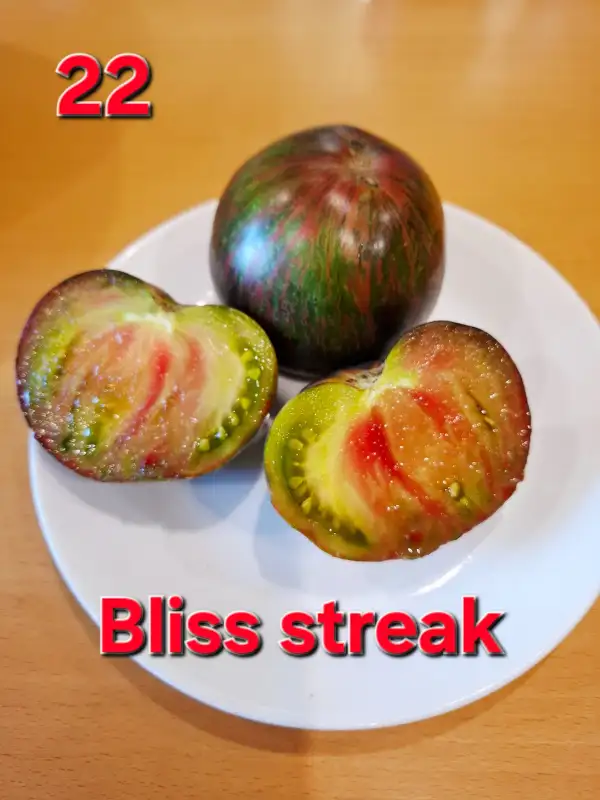 Tomaten: Bliss streak
