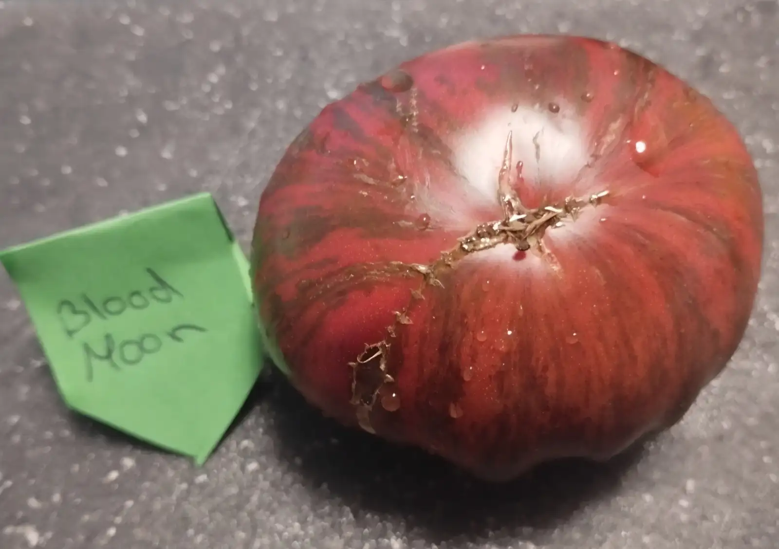 Tomaten: Blood Moon