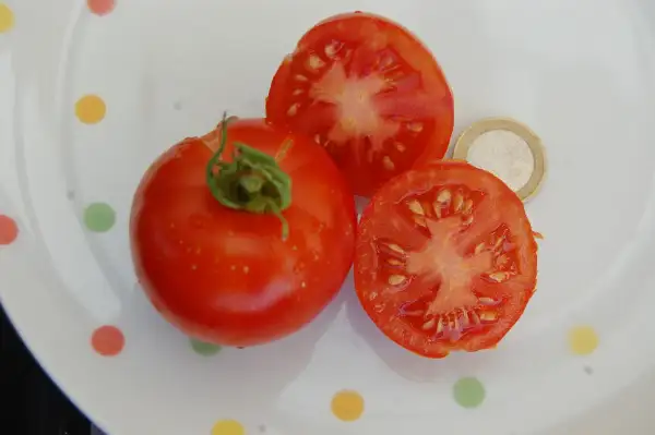 Tomaten: Bloody Butcher