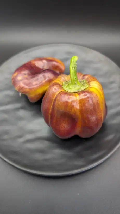 Chili / Paprika: Blot