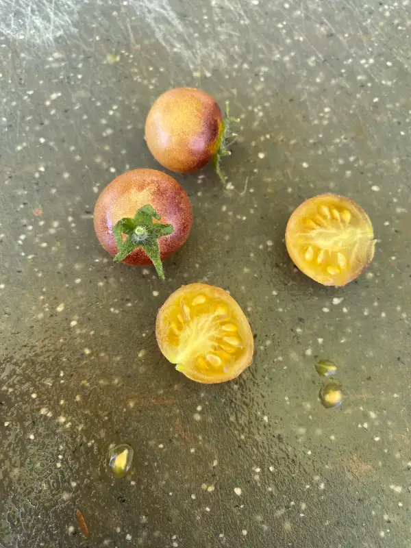 Tomaten: Blue Gold Berries