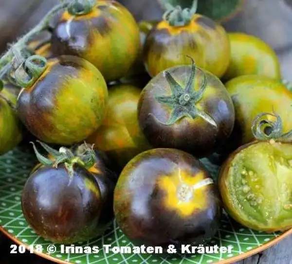 Tomaten: Blue Green Zebra