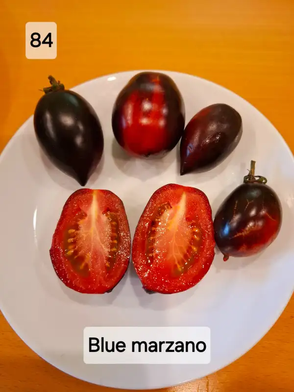 Tomaten: Blue Marzano