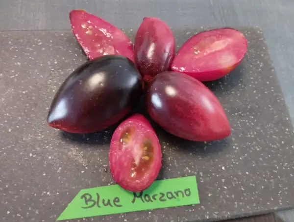 Tomaten: Blue Marzano