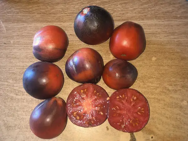 Tomaten: Blue Pear