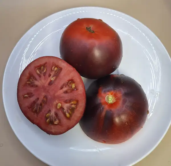 Tomaten: Blue Pear