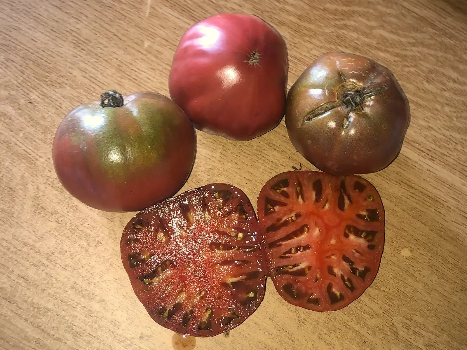 Tomaten: Blue