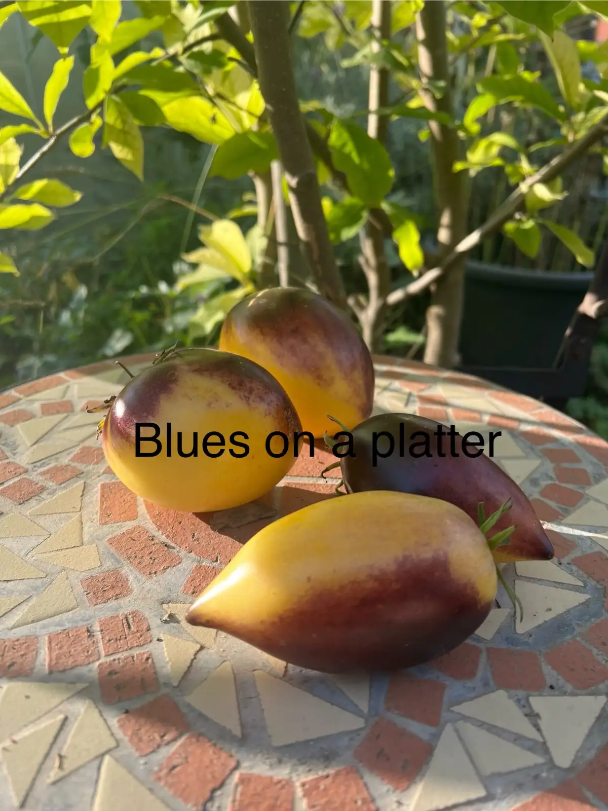Tomaten: Blues on a platter