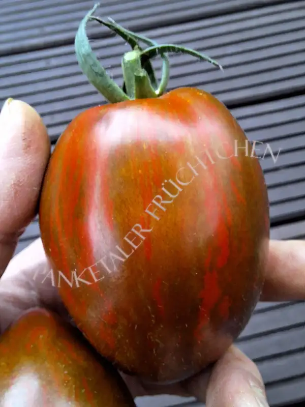Tomaten: Boars Tooth