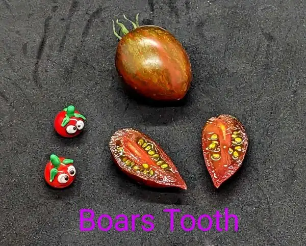 Tomaten: Boars Tooth