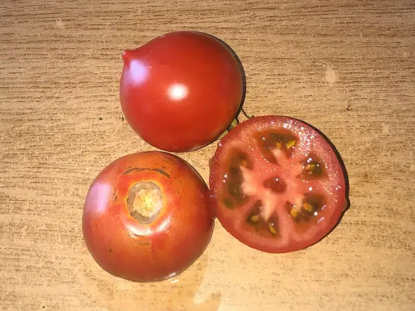 Tomaten: Bob