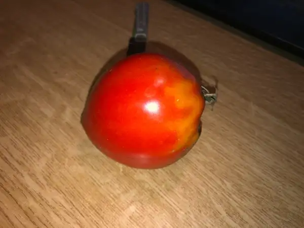 Tomaten: Bogdana