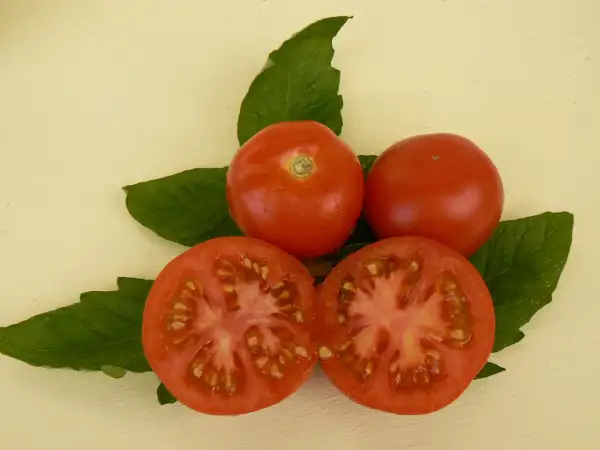 Tomaten: Bohun