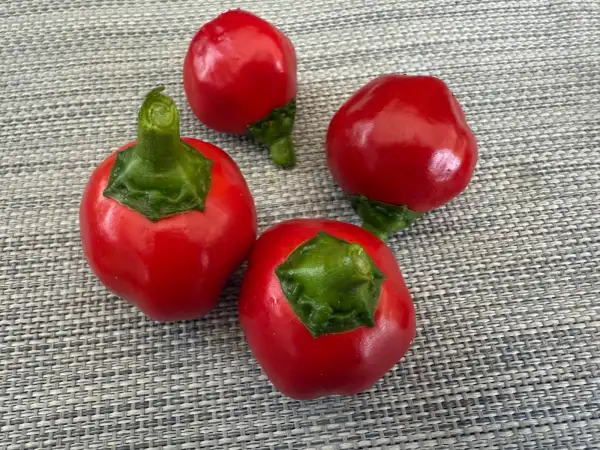 Paprika: Bola