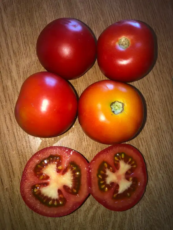 Tomaten: Bola de Elche