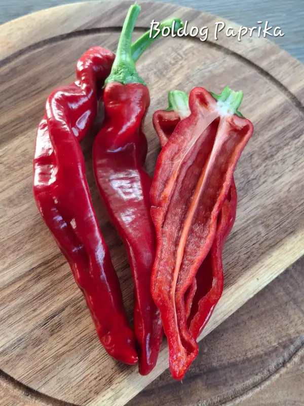 Chili / Paprika: Boldog Paprika