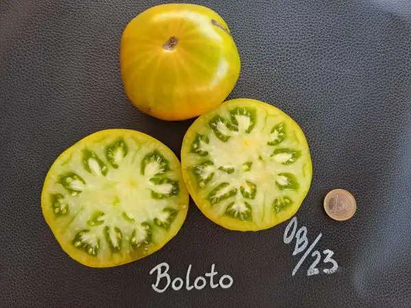 Tomaten: Boloto